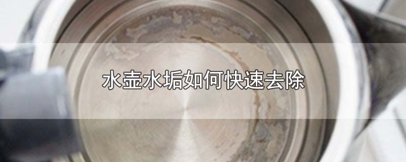 水壶水垢如何快速去除