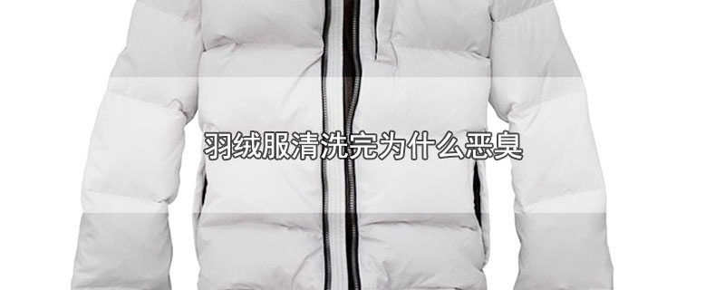 羽绒服清洗完为什么恶臭