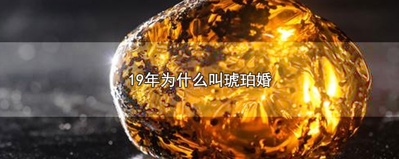 19年为什么叫琥珀婚