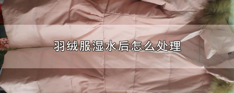 羽绒服湿水后怎么处理